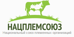 Логотип НАЦПЛЕМСОЮЗ