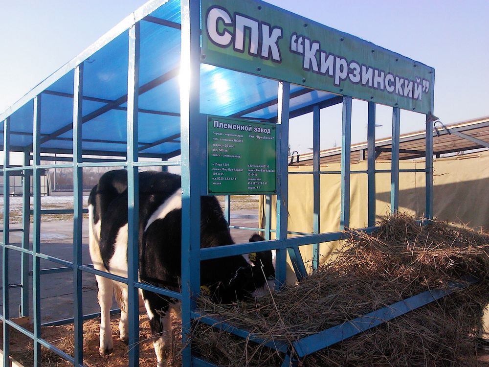 Спк афанасьевское. Сельскохозяйственный кооператив. Сельскохозяйственный производственный кооператив. СПК Кирзинский.