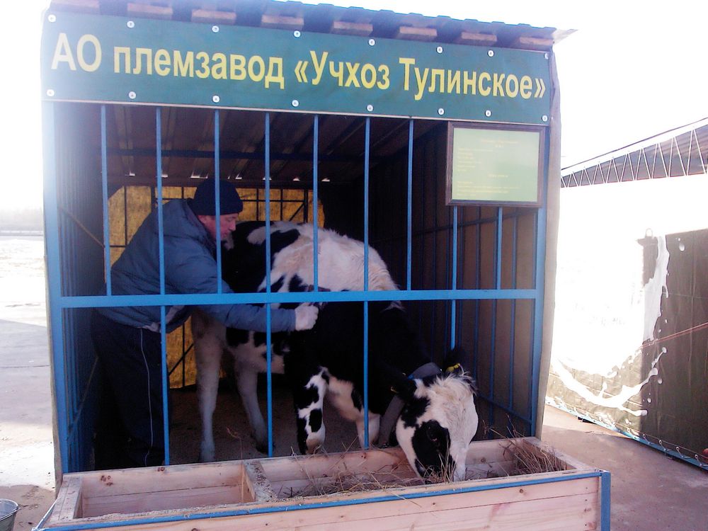 Учхоз роща мичуринск. Пос учхоза. Алтайский край учхоз пригородное барнаул. Краснодар учхоз краснодарское. Учхоз уралец студенческий.